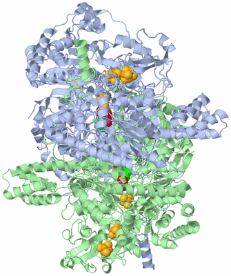 Image Asym./Biol. Unit