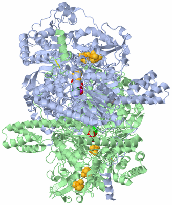 Image Asym./Biol. Unit