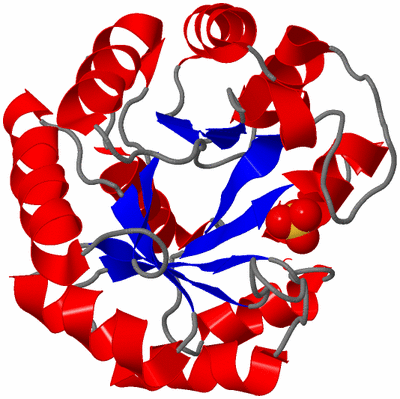 Image Asym./Biol. Unit