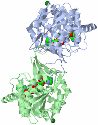 Image Asym./Biol. Unit