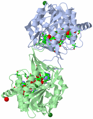 Image Asym./Biol. Unit - sites