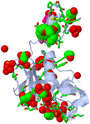 Image Biol. Unit 1 - sites