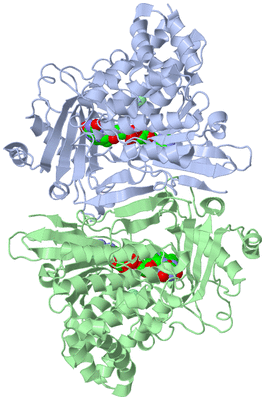 Image Asymmetric Unit
