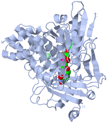 Image Biological Unit 1