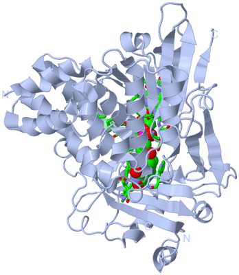 Image Biol. Unit 1 - sites