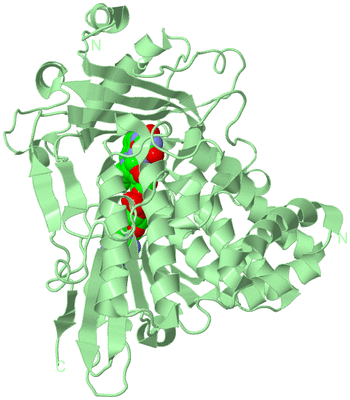 Image Biological Unit 2
