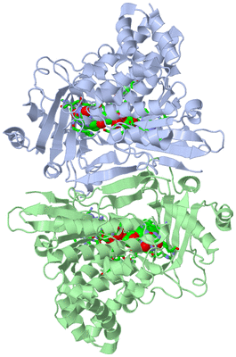 Image Asym. Unit - sites