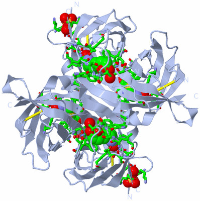 Image Biol. Unit 1 - sites