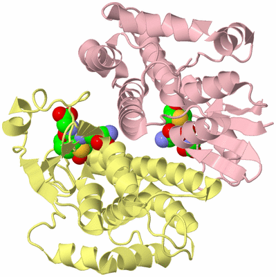 Image Biological Unit 2