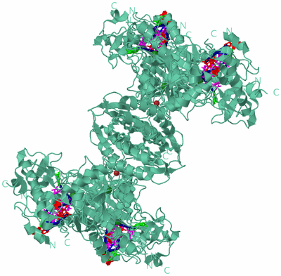 Image Biological Unit 1