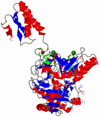 Image Asym. Unit - sites