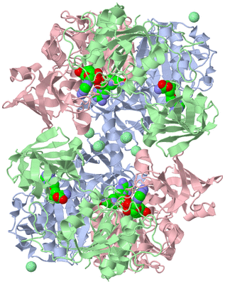 Image Biological Unit 1