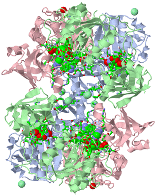 Image Biol. Unit 1 - sites