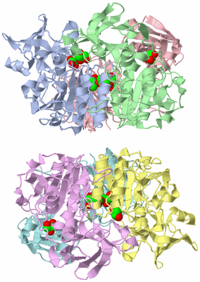 Image Asym./Biol. Unit