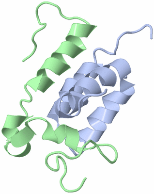 Image NMR Structure - model 1