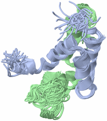 Image NMR Structure - all models