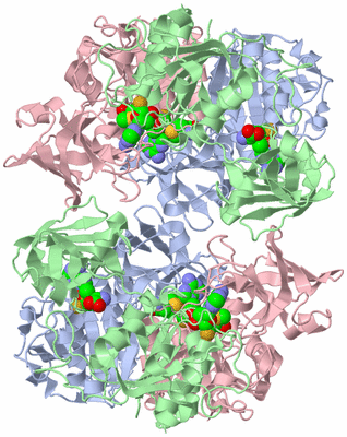 Image Biological Unit 1