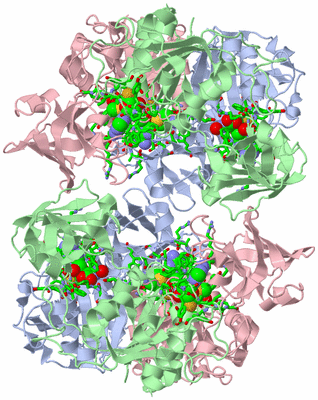 Image Biol. Unit 1 - sites