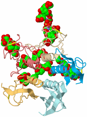 Image Biological Unit 2