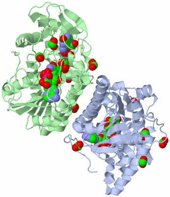 Image Asym./Biol. Unit