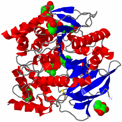 Image Asym./Biol. Unit