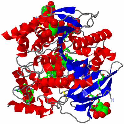 Image Asym./Biol. Unit - sites