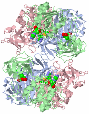 Image Biological Unit 1