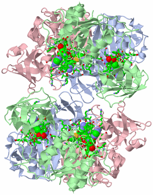 Image Biol. Unit 1 - sites