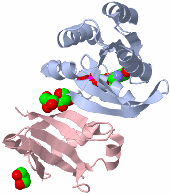 Image Biological Unit 1