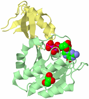 Image Biological Unit 2