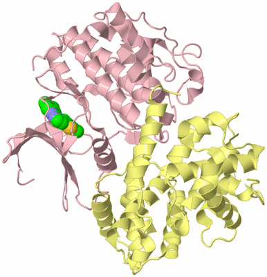 Image Biological Unit 2