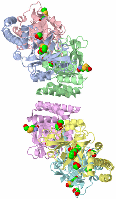 Image Asymmetric Unit