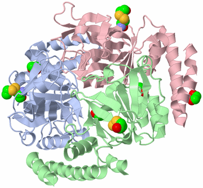 Image Biological Unit 1