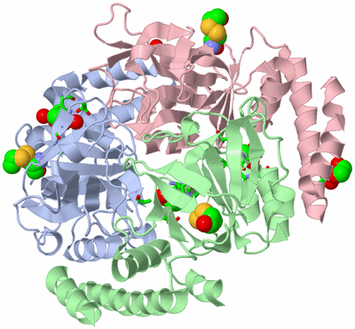 Image Biol. Unit 1 - sites