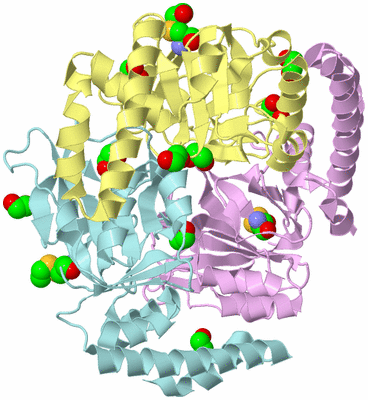 Image Biological Unit 2