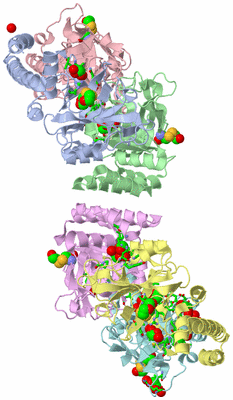 Image Asym. Unit - sites