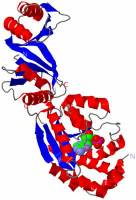 Image Asymmetric Unit