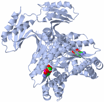 Image Biological Unit 1
