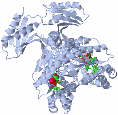 Image Biol. Unit 1 - sites