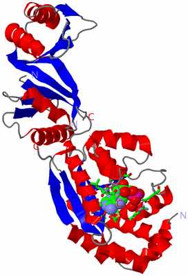Image Asym. Unit - sites