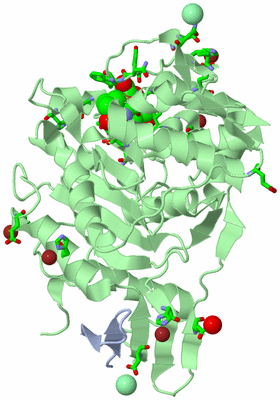 Image Asym./Biol. Unit - sites