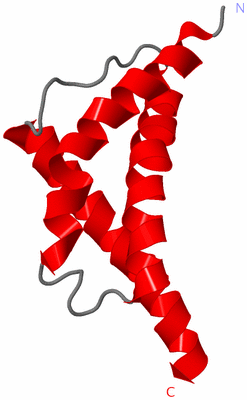 Image NMR Structure - model 1