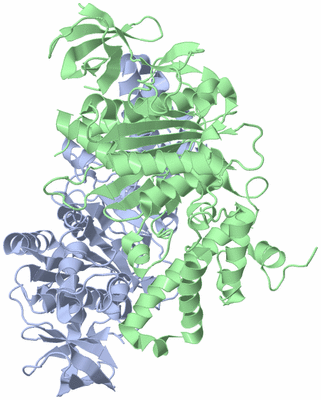 Image Asym./Biol. Unit