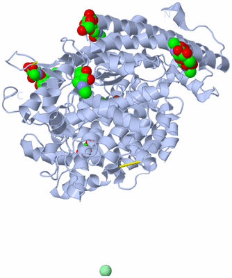 Image Biological Unit 1