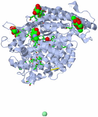 Image Biol. Unit 1 - sites