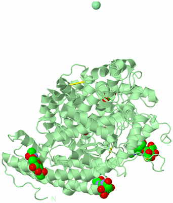 Image Biological Unit 2