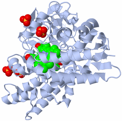 Image Biological Unit 1