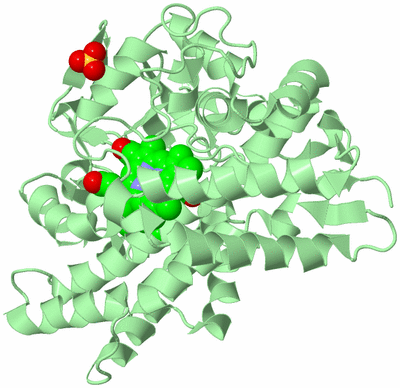 Image Biological Unit 2