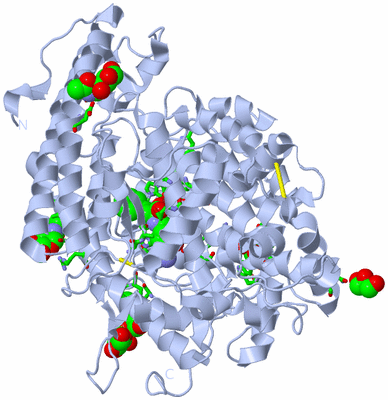 Image Biol. Unit 1 - sites