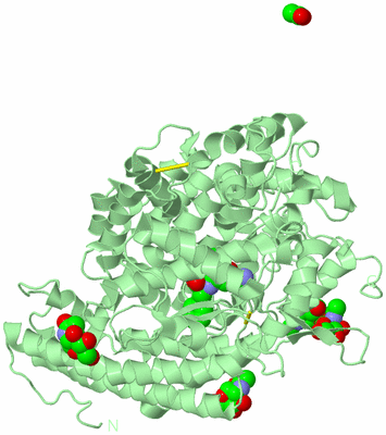 Image Biological Unit 2